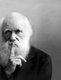 England / UK: Charles Darwin (1809-1882), English naturalist, geologist and author of 'On the Origin of the Species' (1859)